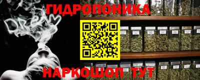 спиды Новокубанск