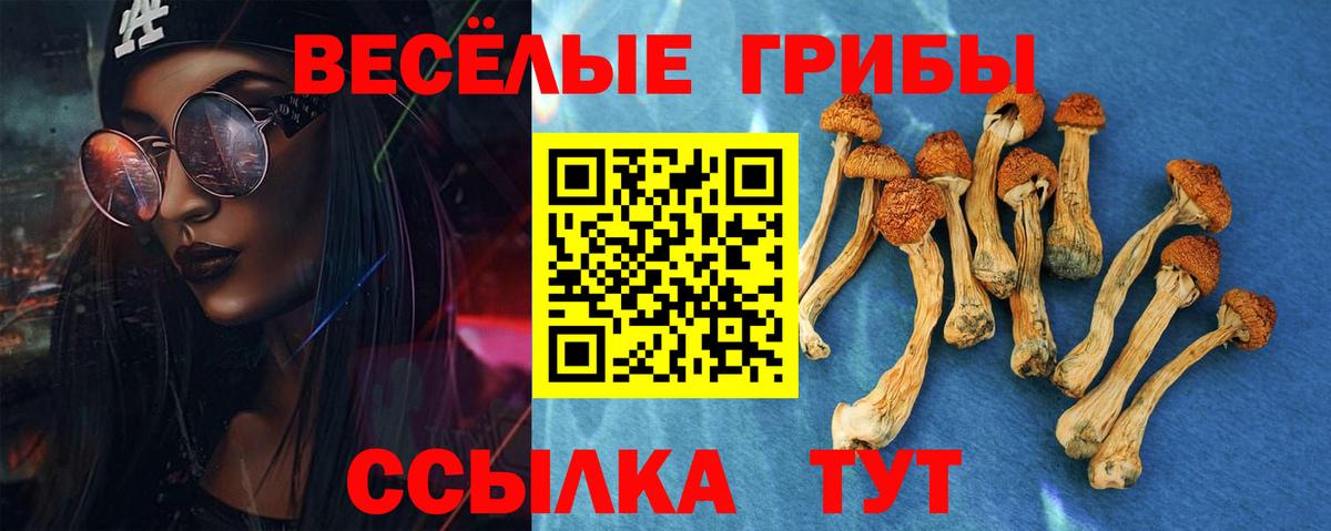 Псилоцибиновые грибы Psilocybe Туймазы
